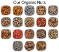 Peanuts (Groundnuts) Normal, Roasted – Natural organic premium-quality + Free sample!