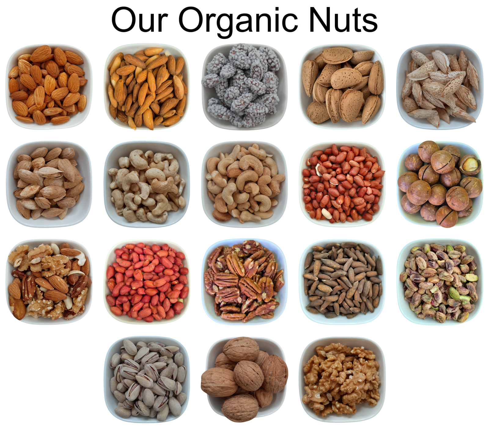 Roasted Chickpeas – Natural Organic Premium-quality + Free sample!